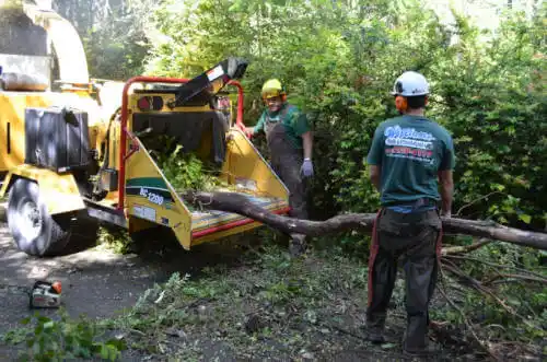 tree services Hugoton